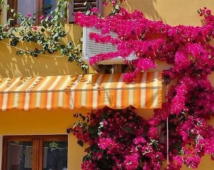 Appartamento In The Heart Of Tuscany Monsummano Terme Exterior foto